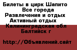 Билеты в цирк Шапито. - Все города Развлечения и отдых » Активный отдых   . Калининградская обл.,Балтийск г.